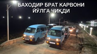 СУРХОНДАРЁ КУТИБ ОЛ. БАХОДИР БРАТ КАРВОНИ ЙЎЛГА ЧИҚДИ. 8 та ПАЧКА САЛОН АВТОМОБИЛ