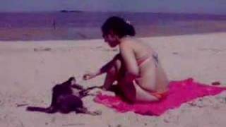 Jugando Con El Can Oriental