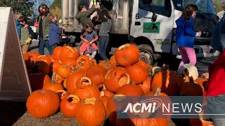 Pumpkin Recycling Event