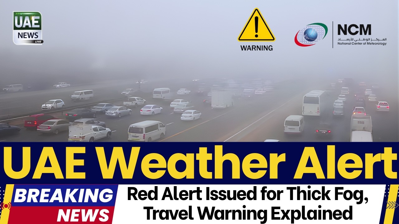 UAE Weather: Red Alert Issued for Thick Fog, Travel Warning Explained