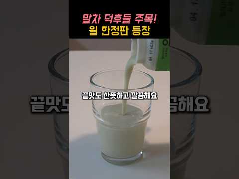 말차 <strong>덕후</strong> 주목!  봄 한정판 윌 제주말차 먹어봤습니다