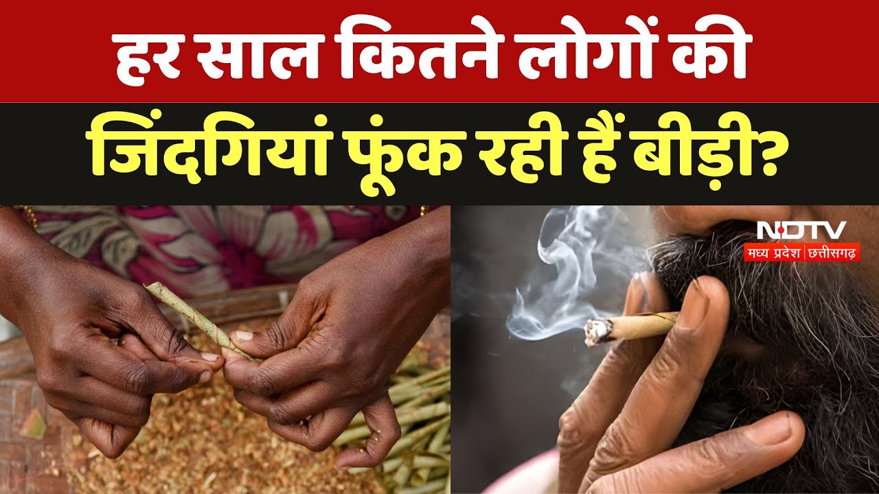 Bidi Smoking Causes: हर साल कितने लोगों की जिंदगियां फूंक रही हैं बीड़ी? | Tobacco Side Effects