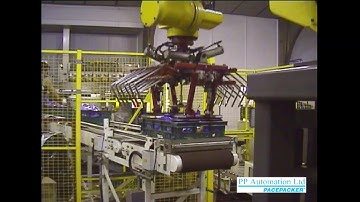 Pacepacker Fanuc Robot Auto Palletising Cell for Retail Trays & Sacks