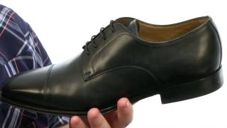 new retro 12 jordans