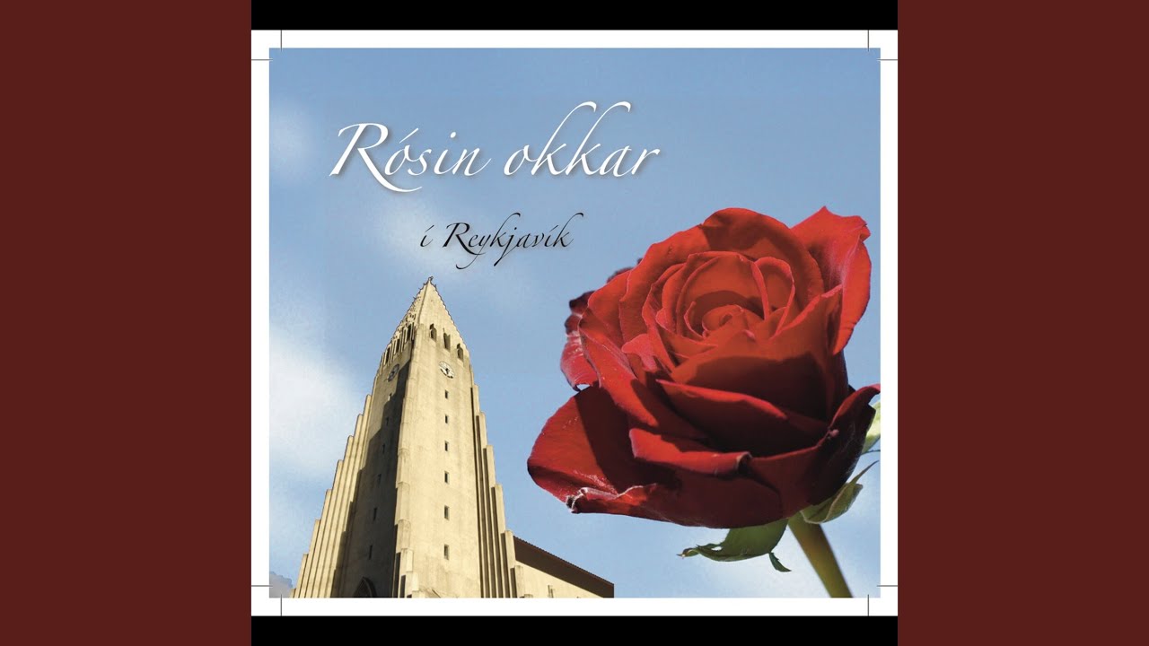 Rósin okkar í Reykjavík