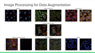 CSC420 Project Presentation: Human Protein Atlas Image Classification
