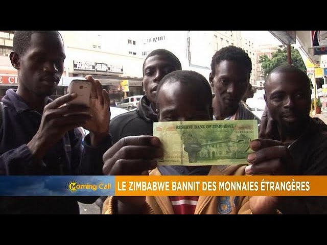 Zimbabwe govt bans use of foreign currencies [The Morning Call]