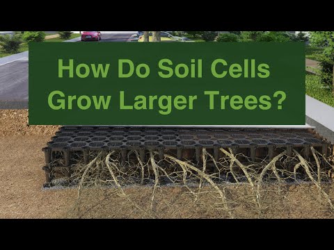 Soil Cells Explained | Stratavault