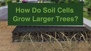 Soil Cells Explained | Stratavault