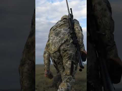 4 Antelope at Long Range | LRP S7 E2
