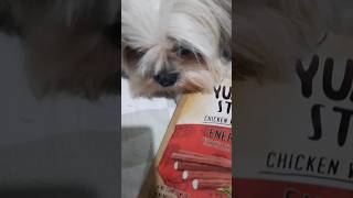 Yumm Stix Treats with Benefits