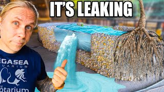 My 2,500 Gallon Fish Tank is Leaking!