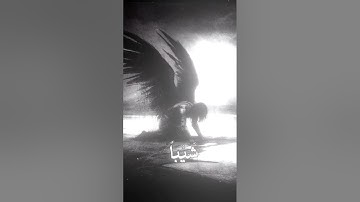 🤍#آية#المصحف#الحمد_لله#المنشاوي_الصوت_الباكى #الحمدلله#القارىء#راحة_نفسية#هدوء#قران#قران_الكريم#آيات