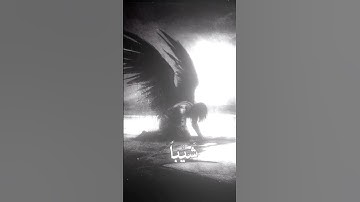 🤍#آية#المصحف#الحمد_لله#المنشاوي_الصوت_الباكى #الحمدلله#القارىء#راحة_نفسية#هدوء#قران#قران_الكريم#آيات