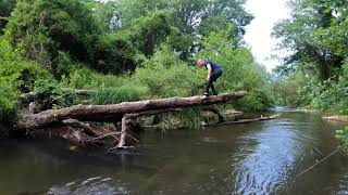 Balik Avi / Doğanın Güzellikleri / Nature Fish Hunting