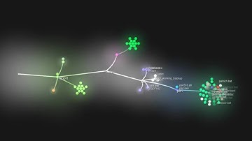 S406A report SVN Repository Overview (Gource)