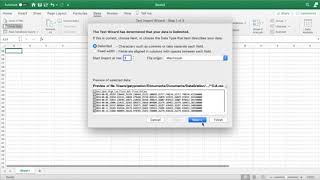 6 Week Series: Week 1-How To Import Text Files  into Microsoft n Excel