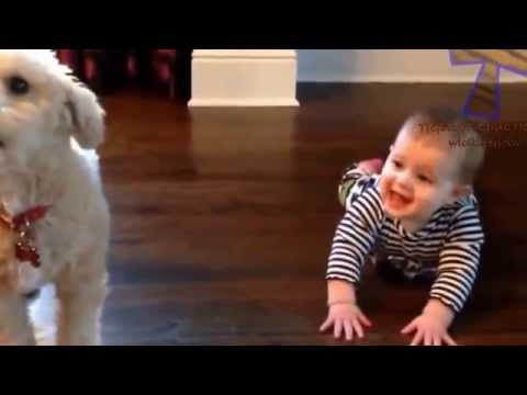 funny-dogs-and-babies-talking