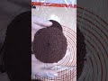 CAKE PRESERVING TIPS AND TRICKS #chocolatecake #baking  #caketips