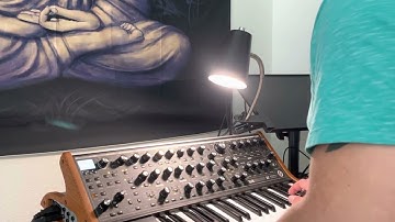 Moog loops/improv sub 37