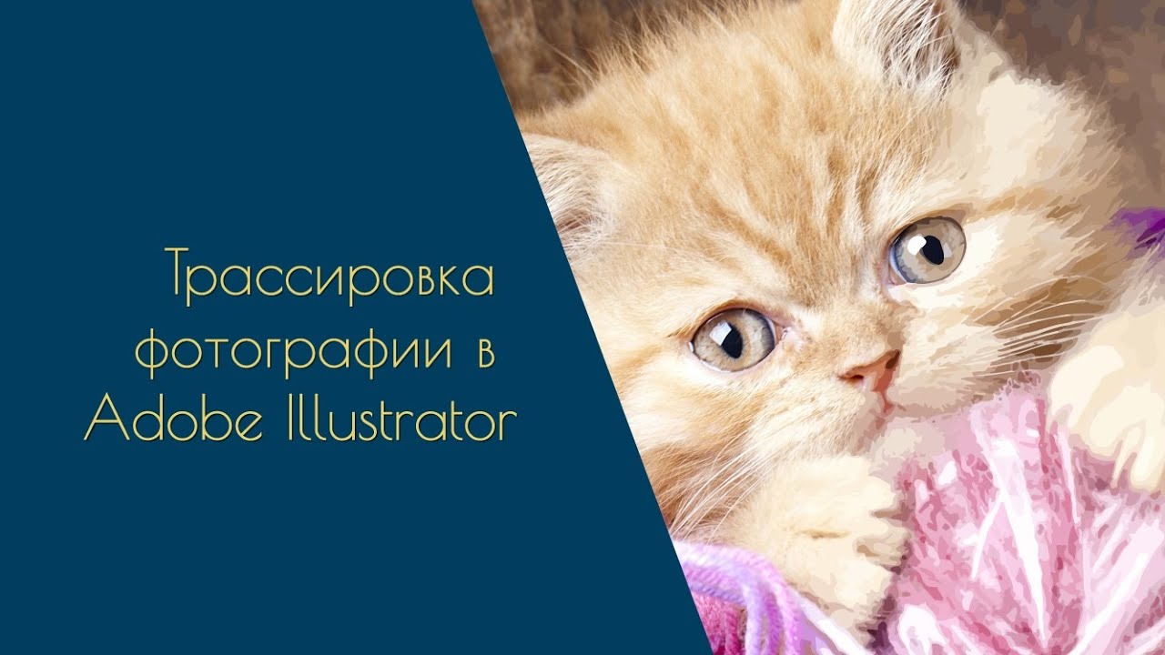Adobe Illustrator Tutorial - трассировка фотографии. 