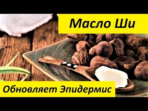 Самый глубокий бассейн в мире: Y-40 The Deep Joy — 40 метров восторга