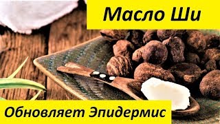 Масло Ши, Масло Карите. Свойства и Применение Пчелиного Воска