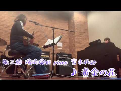 Mizuki＆Risa 黄金の花 cover. 唄三線＆ピアノコラボ