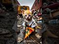cat motivation journey #short #aivideo