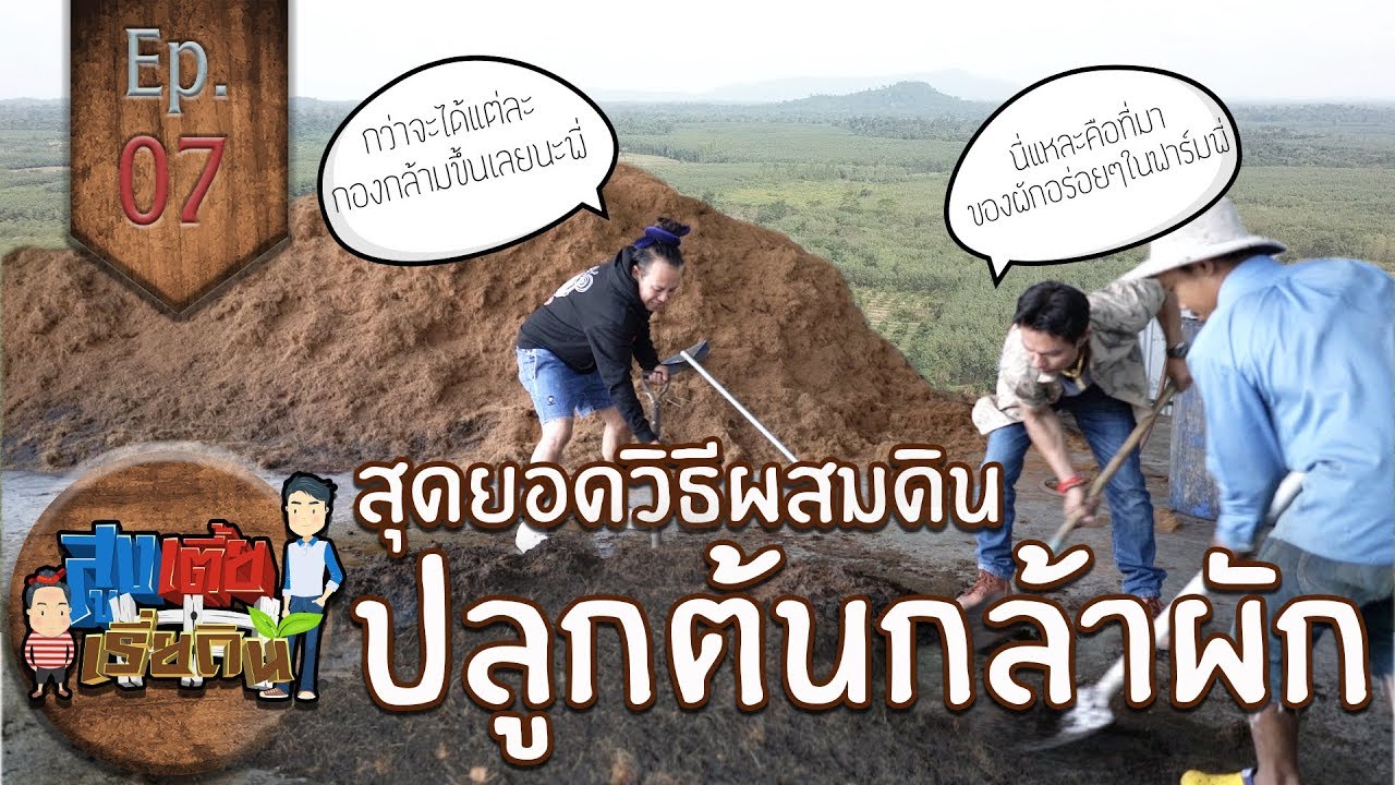 สุดยอดวิธีผสมดินสำหรับปลูกต้นกล้าผัก - สูงเตี้ยเรี่ยดิน l EP.07