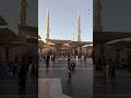 The Prophet's Mosque ﷺ #masjidnabawi #saudiarabia #travel #birds #peace #muslim #beautiful #life ❤️