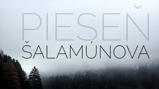 Video thumbnail of "Pieseň Šalamúnova - chvály (text)"