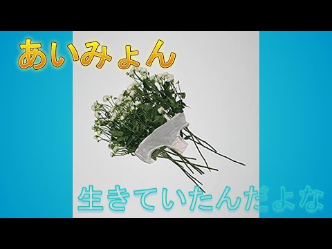 あいみょん】生きていたんだよな 歌詞付 空気録音 メジャー1st