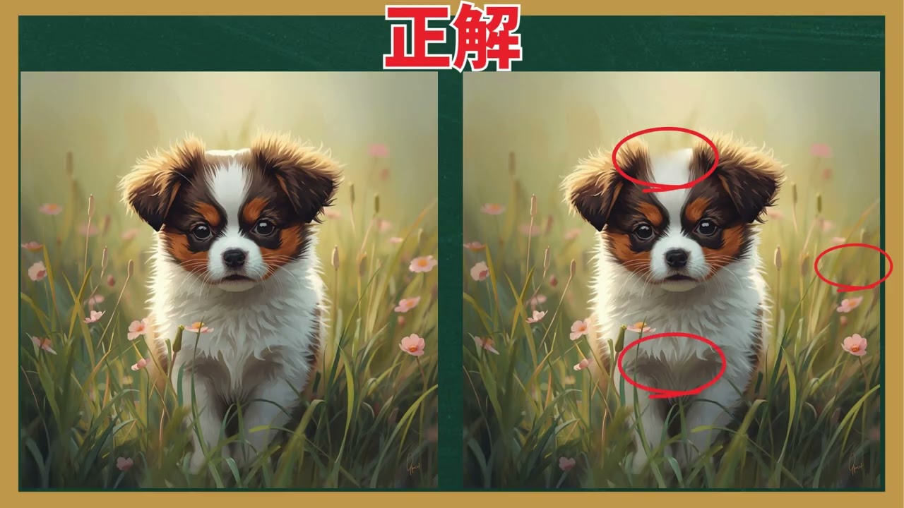 【間違い探し】これがわかったあなたの脳年齢は若い！！サクッと脳を活性化！