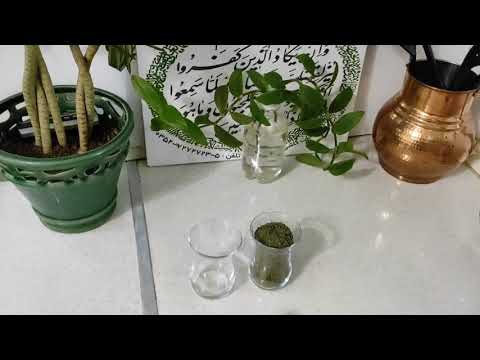 تهیه نعنا داغ سنتی و خوشمزه مجلسی آموزش چامع و قدم به قدم و پرکاربرد