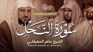 سورة النحل - تلاوة هادئة للشيخ ماهر المعيقلي | Surah Al Nahl - Maher Al-Muaiqly