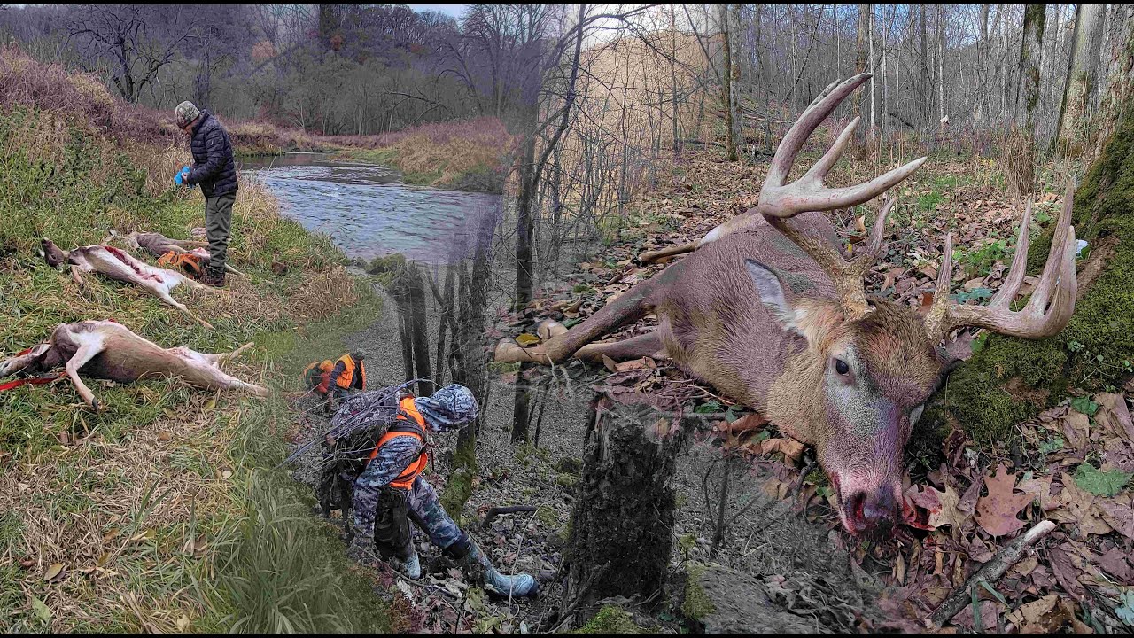 Minnesota Whitetail Deer Hunting Opener 2025 - Tua Mos Lwj