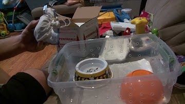 Ball Python Unboxing!