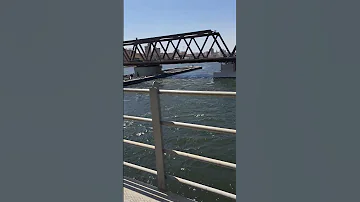 جمال نهر النيل ميديا اغاني 