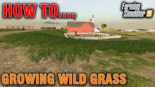 FS19 How To... Growing Wild Grass FS19 How To... Growing Wild Grass