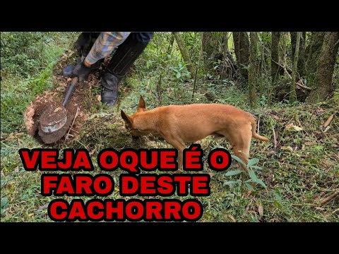 Vídeo: Faíscas De Faísca