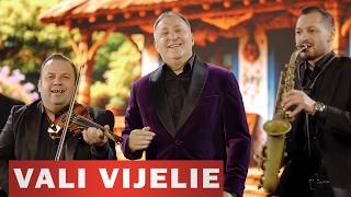 Vali Vijelie  Muzic De Petrecere 2026  Colaj Hituri De Joc U0026 Distracie