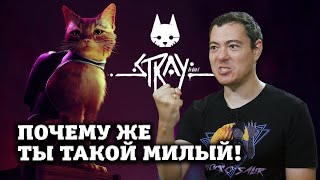 Обзор Stray - Снятся ли котикам электролюди? I Битый Пиксель