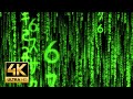 The matrix raining green code backdrop for obs  teams zoom calls in 4k  link to 45mins ver below