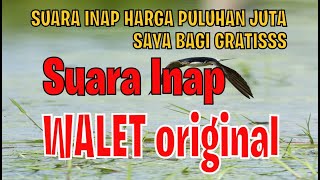 SUARA INAP WALET ORIGINAL - GRATIS