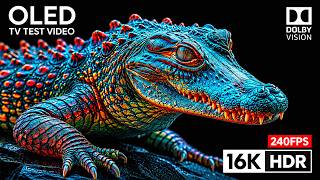 Epic 16K Nature Video 120FPS | Best HDR Dolby Vision OLED Showcase (8K/4K Ultra HD TV) screenshot 4