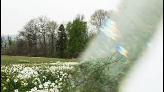 the glue song - beabadoobee [sped up   reverb]