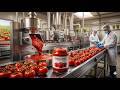 Most Satisfying Tomato Processing Machines You've Ever Seen – Full Factory Process