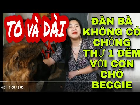 ĐÀN BÀ KHÔNG CÓ CHỒNG THỬ MỘT ĐÊM VỚI CON CHÓ BECGIE TO CHÀ BÁ COI SAO? CÁI KẾT LÊ LẾT/ Ngoc Family