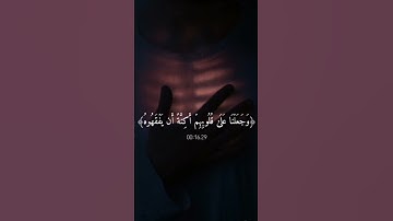 تلاوه خاشعه بصوت جميل#احمد_العجمي #ارح_سمعك